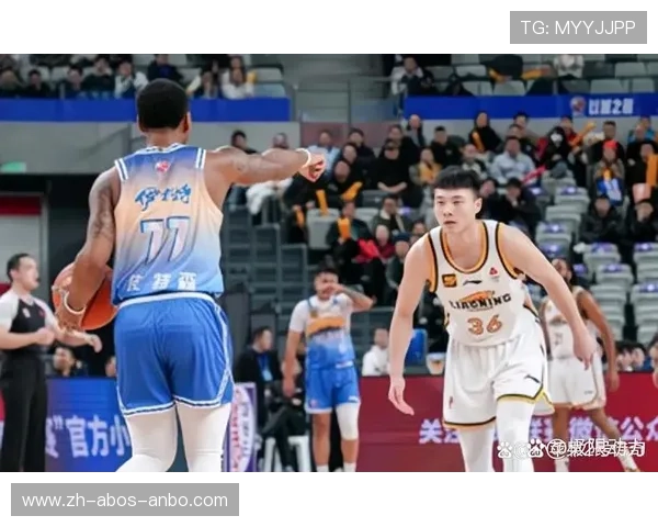 辽宁队CBA球员位置分布与2025战术布局分析