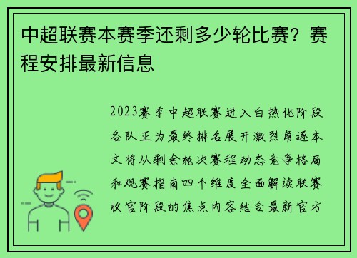 中超联赛本赛季还剩多少轮比赛？赛程安排最新信息